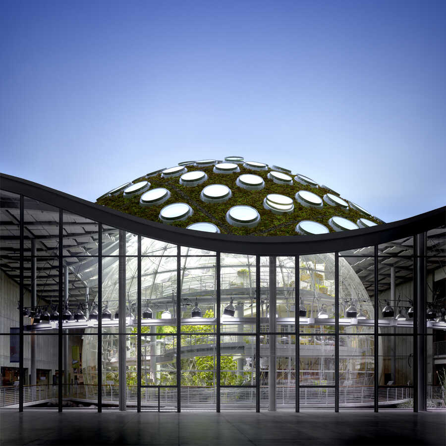 Cutaway view of the Academy's dramatic roofline with glass-enclosed indoor rainforest and undulating Living Roof