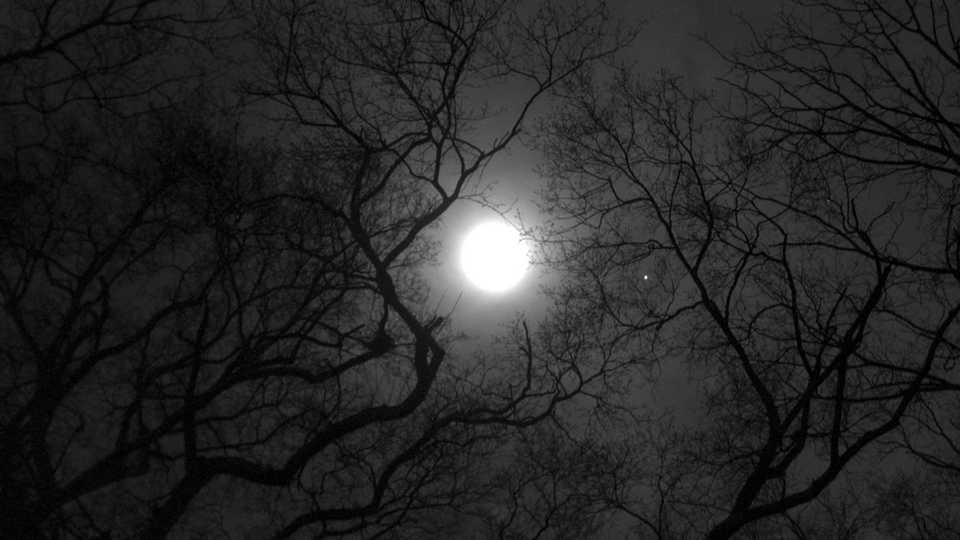 moon lore calacademy morrison planetarium nightlife