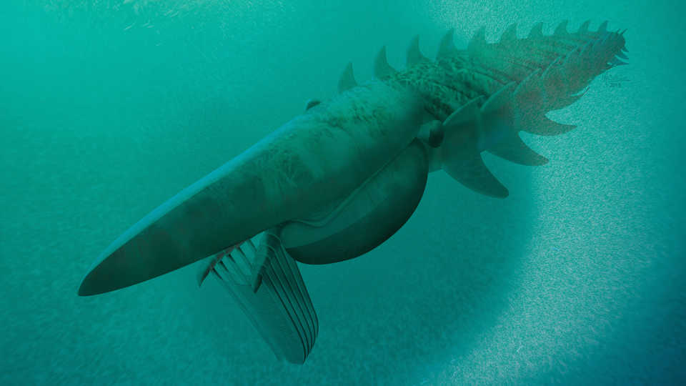 Ancient Sea Creature