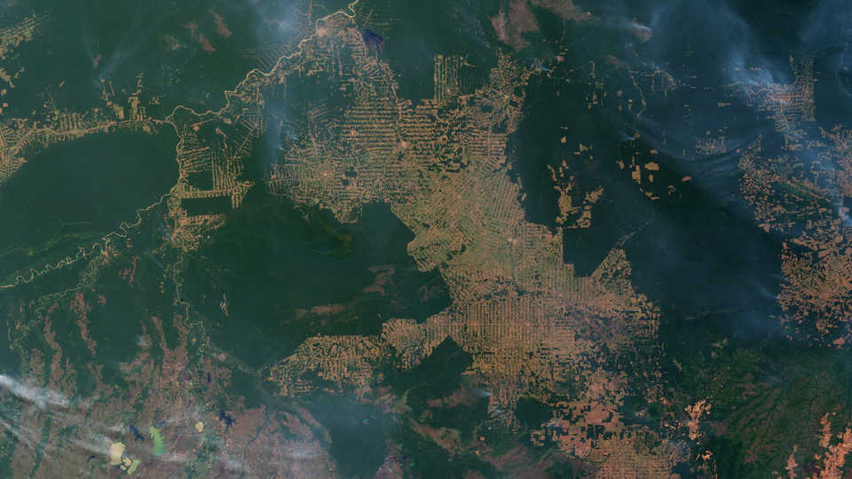 Slash-and-burn farming in the state of Rondônia, western Brazil, NASA Earth Observatory