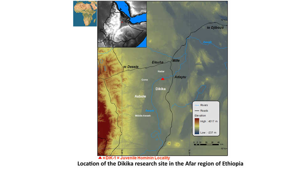 Map of the Dikika site in the Afar region of Ethiopia