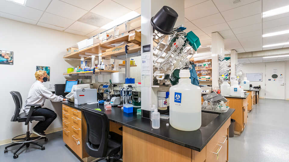 Inside the CCG Lab