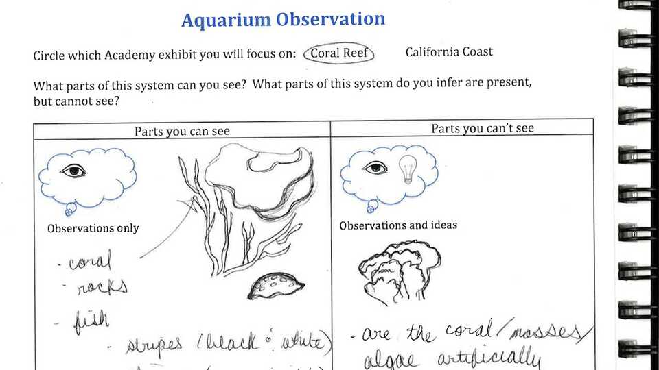 Aquarium observation