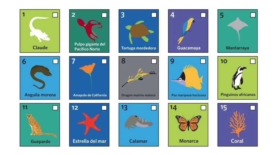 A series of colorful boxes filled with one animal each, along with the name of the creature in Spanish.