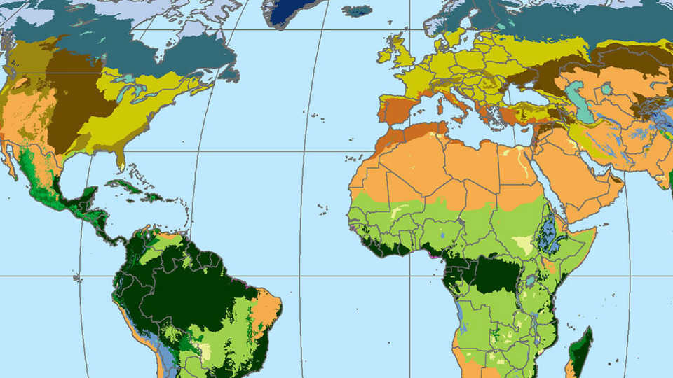 Map of world biomes