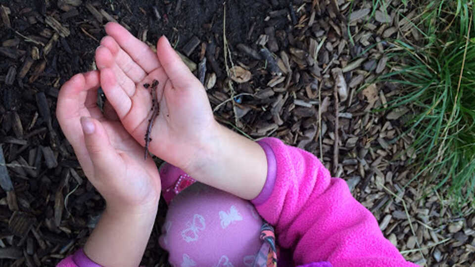 child holds an earthworm softly in their hands after investigating outdoors