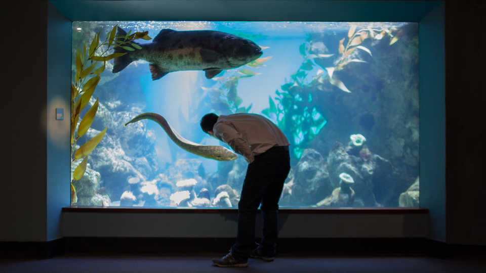 Aquarium Behind-the-Scenes Tour