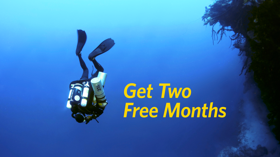 Get Two Free Months 