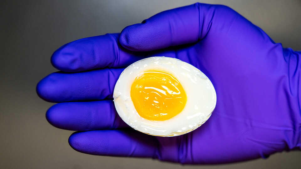 One soft-boiled egg.