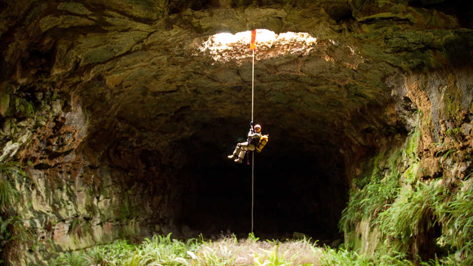 A scientist being lowered on a rope down into a sun-dappled cave
