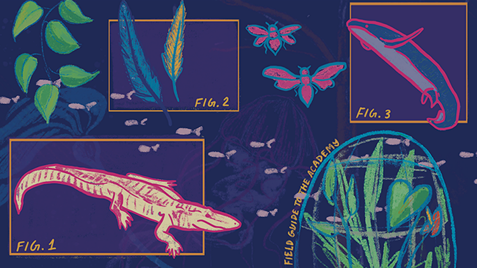 Illustrations of Claude the alligator, Methuselah the lungfish, blue-and-gold macaw feathers, and more