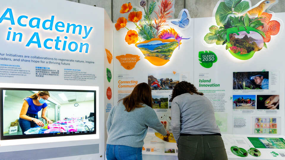 2 guests explore new Academy in Action exhibit kiosk