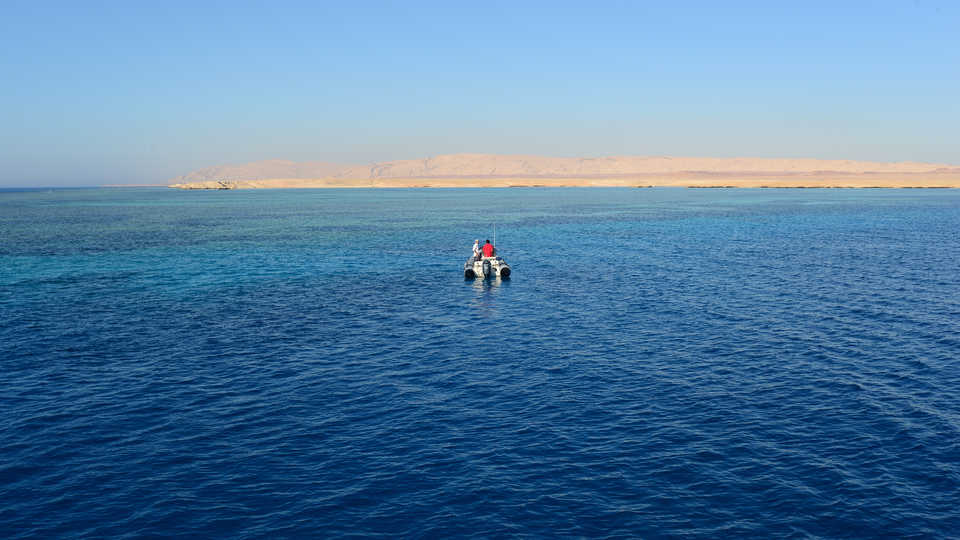 Luiz Rocha's team afloat on the Red Sea