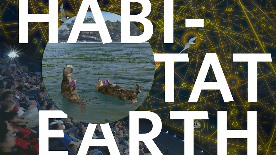 Habitat Earth creative