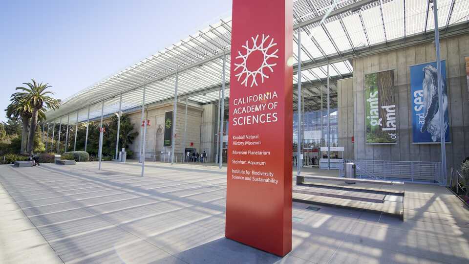 A photo shows the exterior of the California Academy of Sciences
