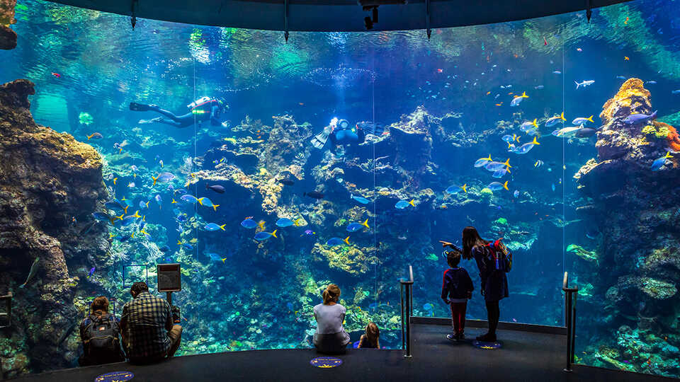 Scholars seek greater collaboration between zoos, aquariums, and natural  history museums
