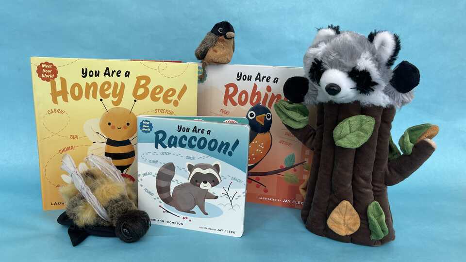 3 story books with a bee, raccoon, and robin puppet