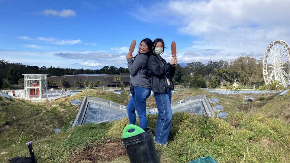 Youth on living roof