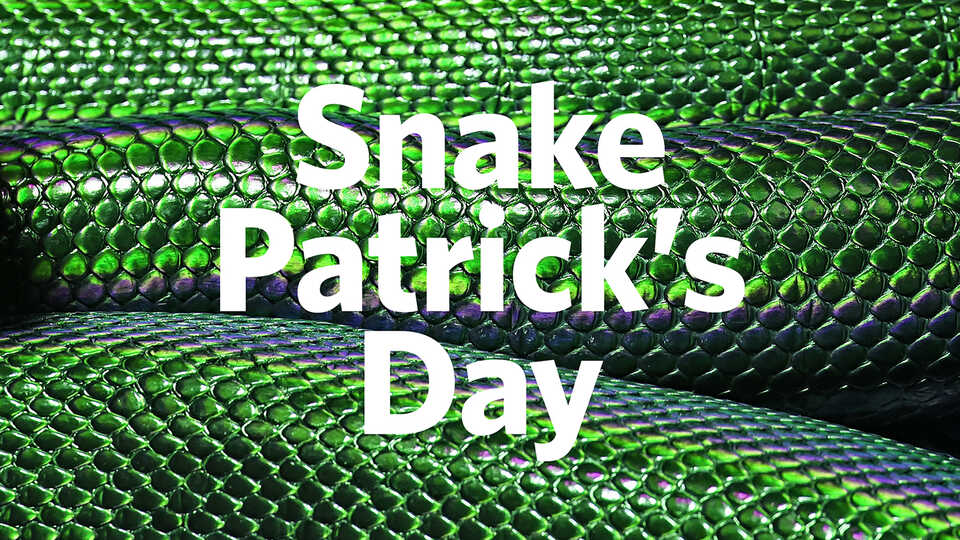 Snake Patrick's Day written on a background of green snake scales