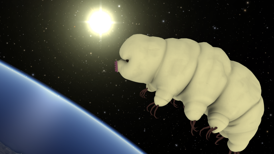 Tardigrades, tiny animals also known as "moss piglets," can survive the conditions of outer space!