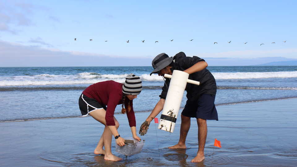 Careers in Science interns collect sand crabs on a beach for an experiment