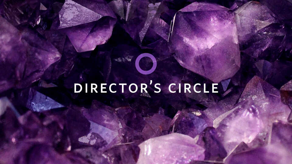 Director's Circle banner image with amethyst crystals