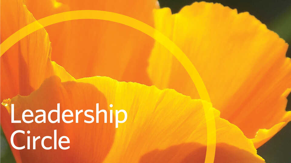 Leadership Circle banner image with orange poppy