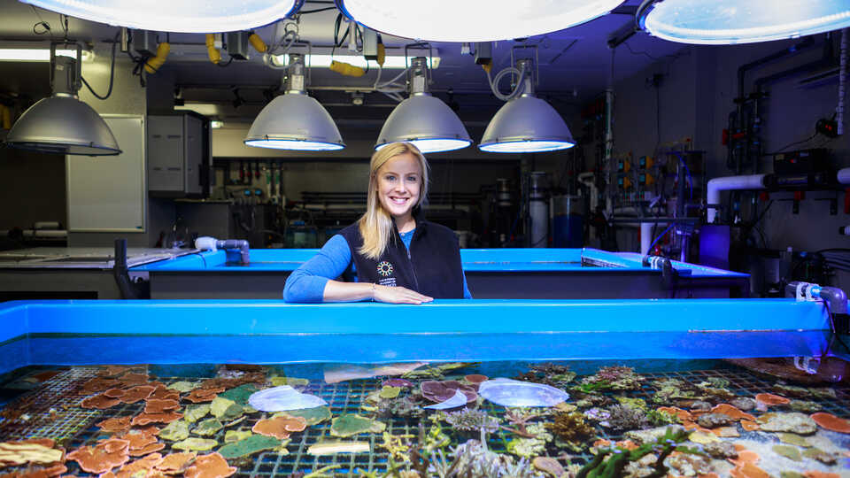 Dr. Rebecca Albright in her coral lab at the Academy