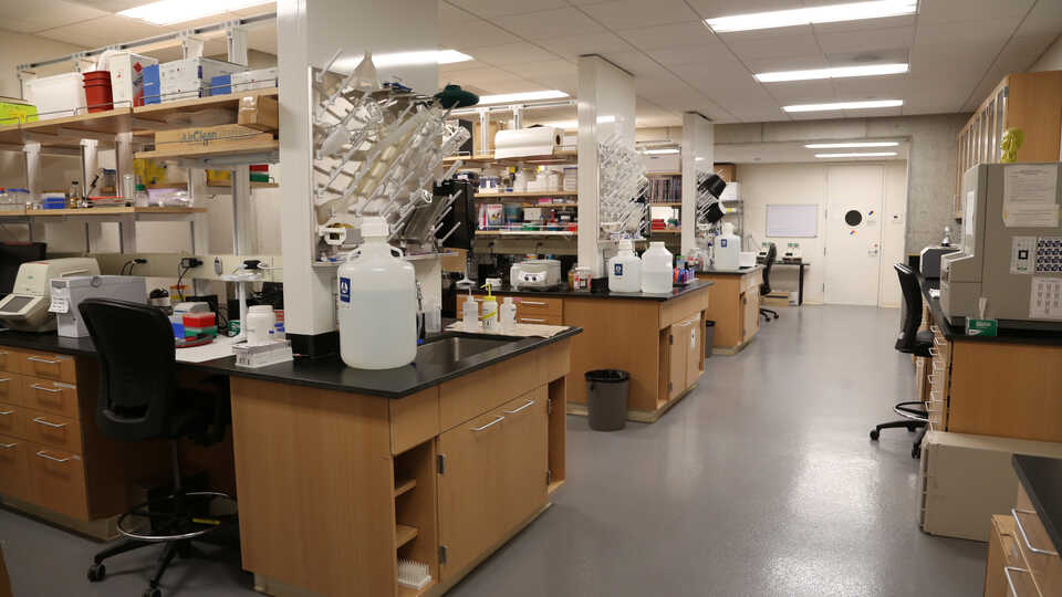 Lab space in the Academy's Center for Comparative Genomics