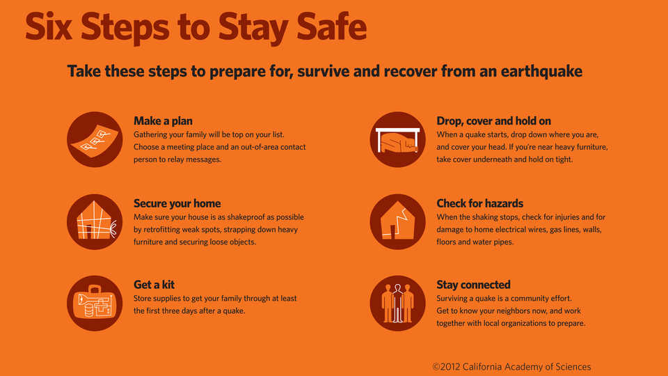 Six Steps to Stay Safe; ©2012 California Academy of Sciences