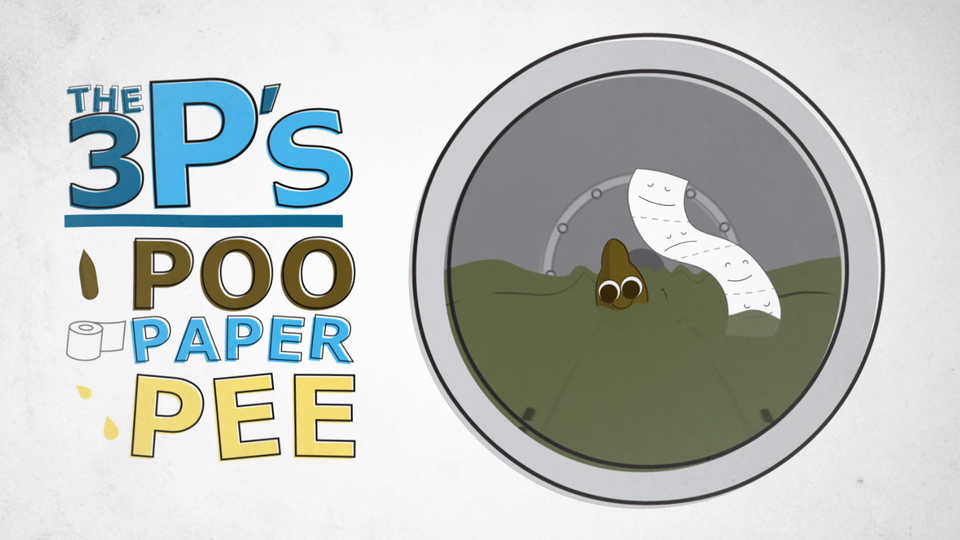 Poo and toilet paper rush down a sewer pipe.
