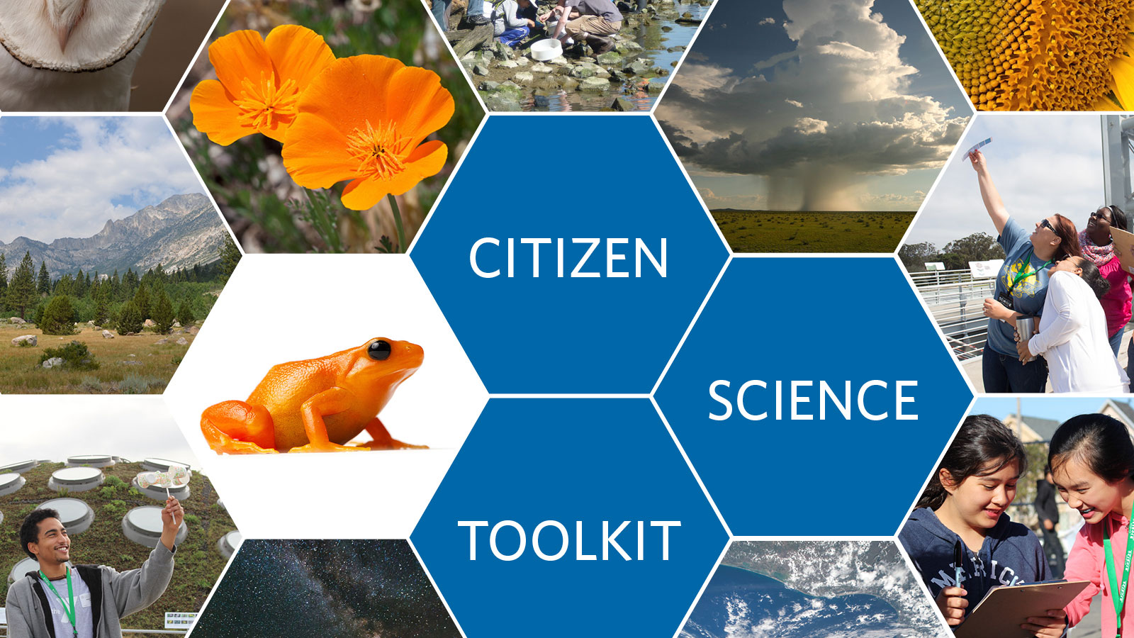 Citizen Science Toolkit | California Academy of Sciences